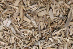 biomass boilers Dedworth